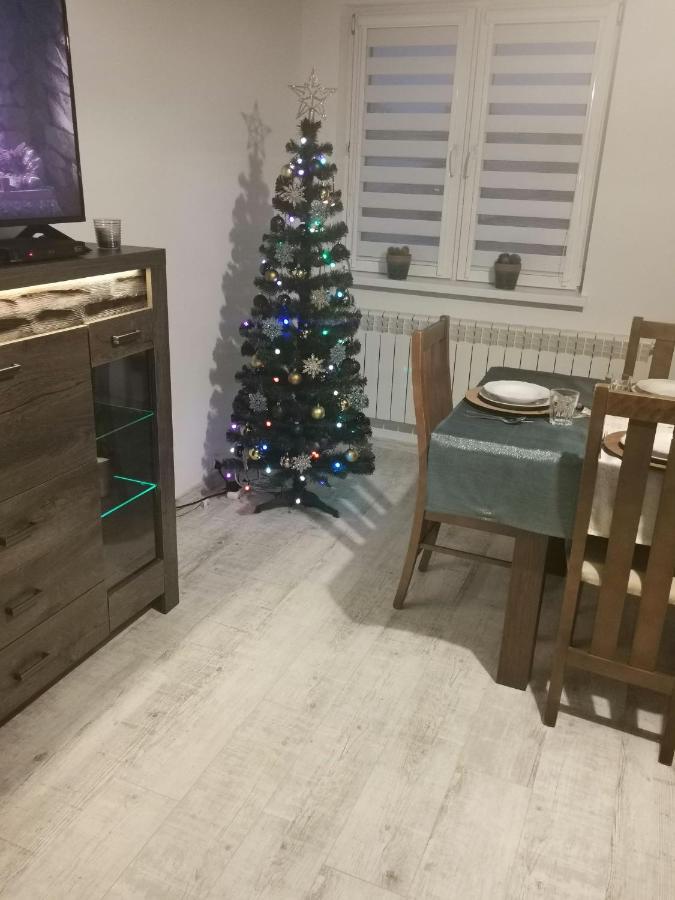 Apartament Krystyna II Tylicz Dış mekan fotoğraf